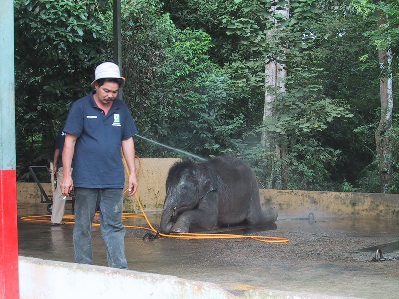 Click to see next picture