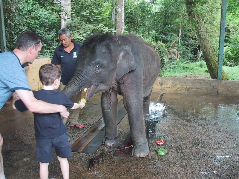 Click to see next picture