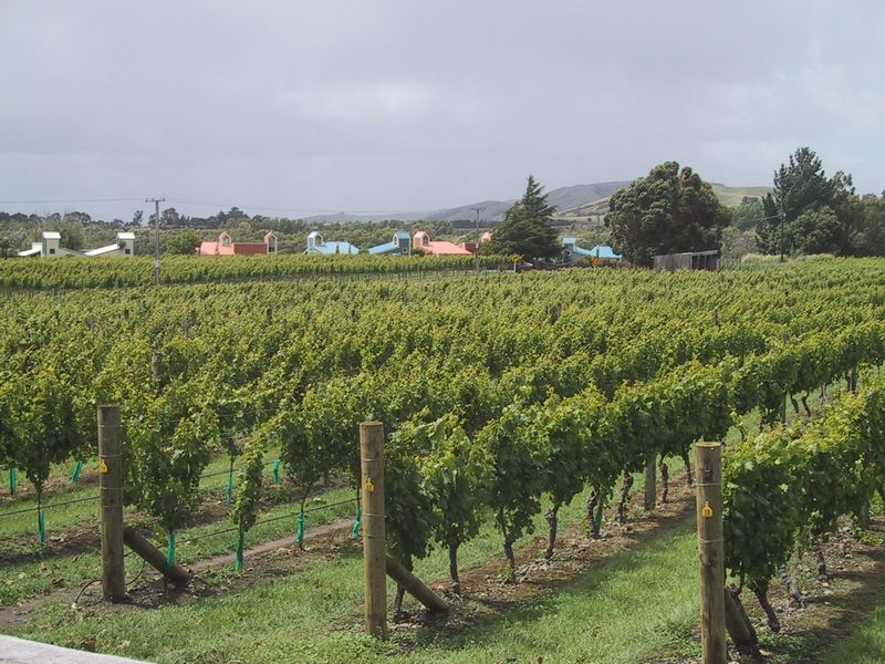 Click to see next picture