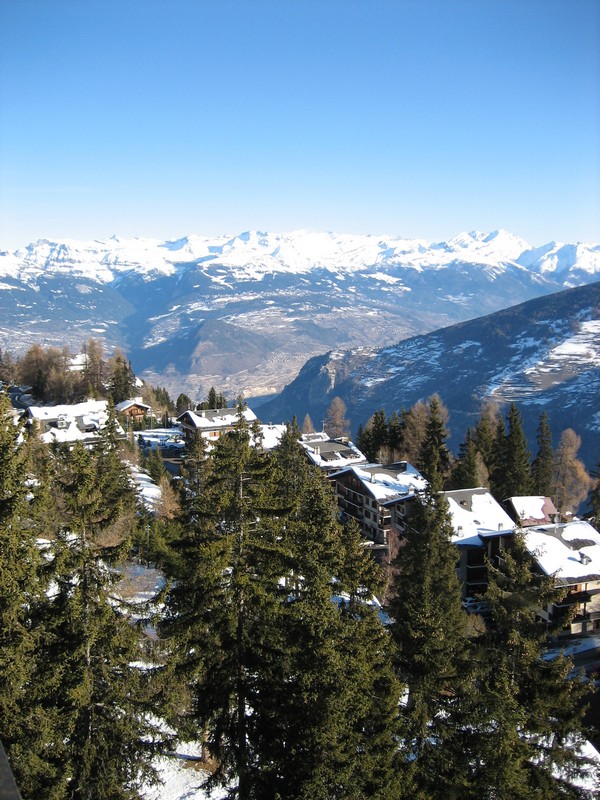 Click to see next picture