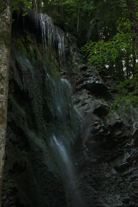 Click to see next picture