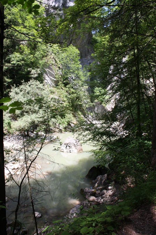 Click to see next picture